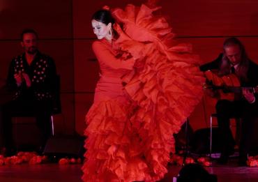 We Call It Flamenco: A Unique Spanish Dance Show