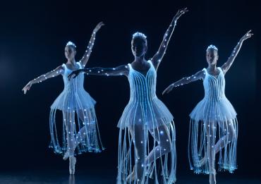 Sleeping Beauty Dance & Light Show