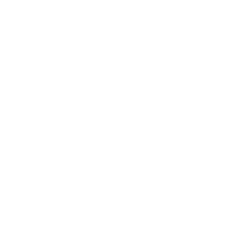 Institut F